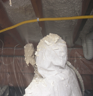 Naperville IL crawl space insulation
