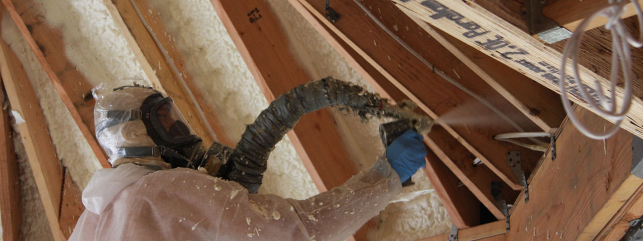 Naperville Illinois Attic Insulation Spray Foam